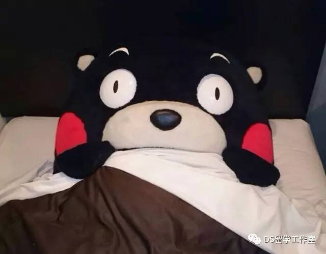 美国高中,美国留学,美国高中留学